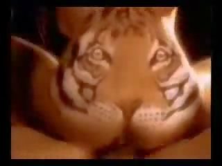 Tiger kroppen