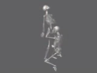 A foder skeletons