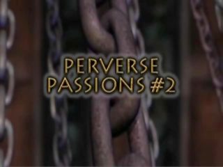 悖 passions 二