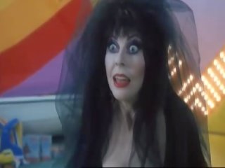 Cassandra Peterson Elvira Mistress Of The Dark