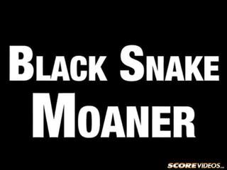 Musta käärme moaner