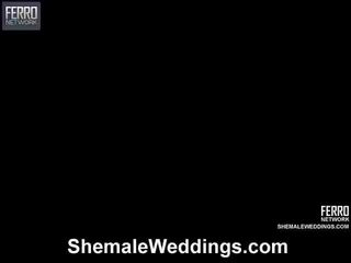 एडुआर्डो अभिनीत में हॉट मिश्रण vids की शीमेल weddings