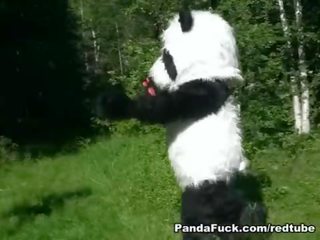 Red nunggang hood fucked by panda