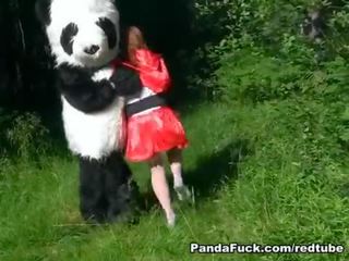 紅 騎術 兜帽 性交 由 panda